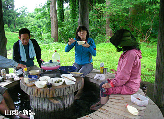 新潟　山菜キャンプ、足湯