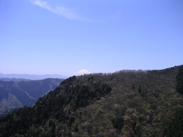 富士山